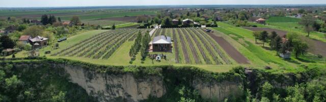 Vinarija „Milanović” spaja mineralnu zemlju, mirnu reku i strpljenje u svakoj čaši