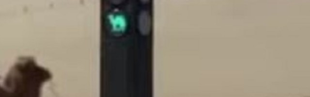 Ne postoji ni u Saudiskoj Arabiji ni u Egiptu, prvi ovakav svetlosni signal je osvanuo ni manje ni više nego u Kini!