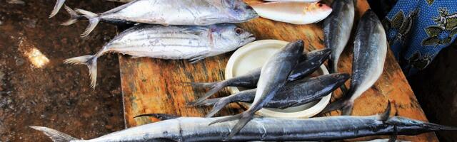 Pravi krivac je riba: Koja zemlja se može pohvaliti najgorom kuhinjom na svetu?