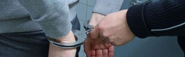 Требиње: Ухапшен старији мушкарац због обљубе троје деце и поседовања оружја