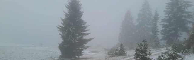 Šta se ovo dešava na Tari? Kamere zabeležile šokantan prizor (VIDEO)