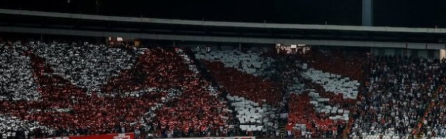 ZVEZDA ULOVILA KAPITALCA! Stanković DOBIJA ogromno POJAČANJE za napad na Ligu šampiona!