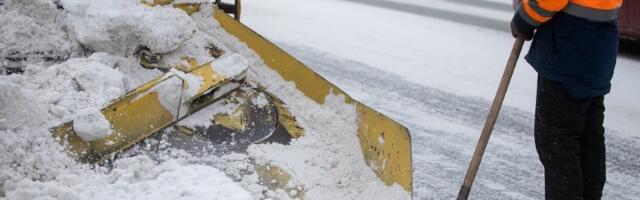 Na devojčicu (13) palo drvo u Beogradu