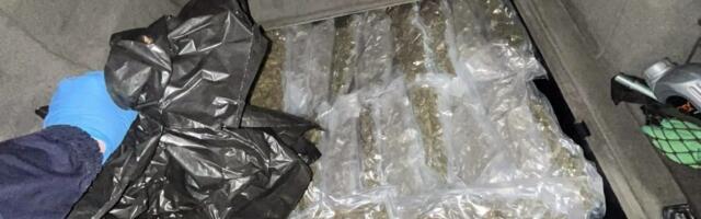 Dobar ulov policije na Batrovcima! U bunkeru "audija" policija pronašla 11 kilograma marihuane (FOTO)