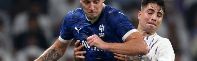 SUMA OD KOJE BOLI GLAVA Potpisao Sergej Milinković Savić