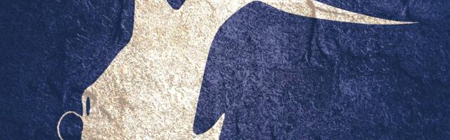 Optička iluzija sa 2 rešenja: Šta prvo vidite, govori o tome kako razmišljate, jeste li površni ili detaljista