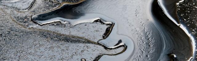 Bosanac u njivi ima 2 izvora nafte: "Da smo u Nemačkoj, jedna kap ne bi propala", ovako Hajro maže kožu