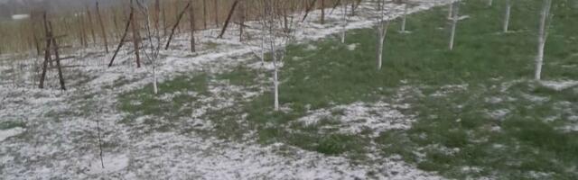 Zabeleli se malinjaci u prijepoljskom kraju! Meštani ne pamte ovakvu oluju: Sneg ili šta je ovo?