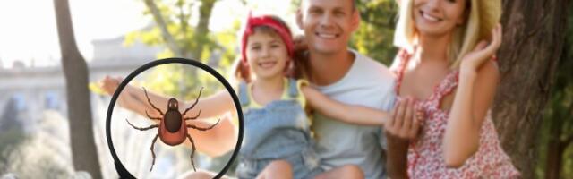 Posle uboda krpelja ovu grešku nikako ne pravite: Lekari upozoravaju kako da prepoznate prve znake infekcije