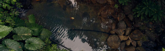 Научници открили десетине непознатих врста на острвима Гваделупа