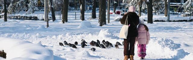 Ovu obuću nikako ne smete nositi po snegu! Lekar upozorava građane na posledice