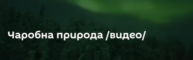 Чаробна природа /видео/