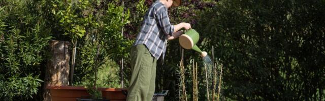 Veruje se da ova biljka donosi SMRT! Nikako je ne sadite, ako je dobijete na poklon - SMESTA JE IZBACITE IZ KUĆE!