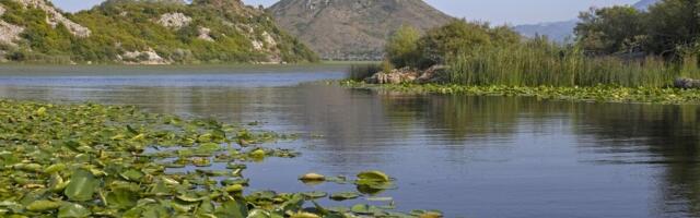 Fotografija Skadarskog jezera opčinila naučnike: Jedan detalj digao struku na noge, ovo se vidi iz svemira! (FOTO)