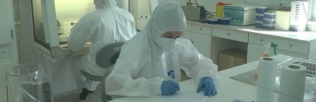 KORONA PRESEK: KRALJEVO 132, SRBIJA 4.426