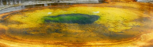 Sitni zemljotresi u Jeloustonu izazivaju bujanje skrivenog života ispod zemlje