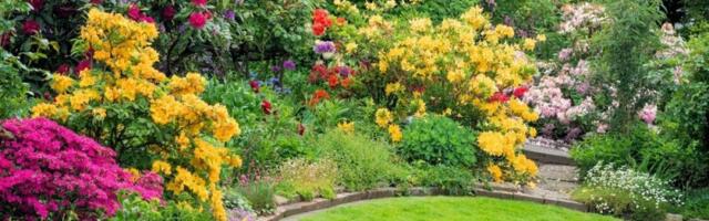 Čudesan recept star 200 godina: Prirodno đubrivo od koga biljke bujaju