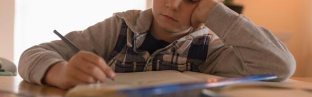 "Ni dete, ni ja, ni moj otac ne znamo da rešimo ovo!" Zadatak iz matematike za prvi razred osnovne škole posvađao ljude