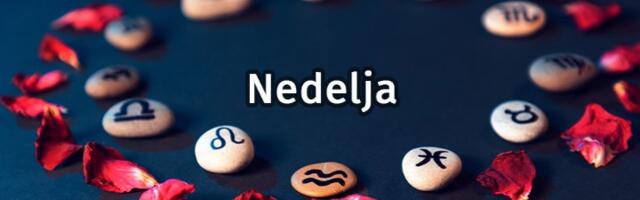 Jarčeve prati nervoza, Ribe posvećene obavezama