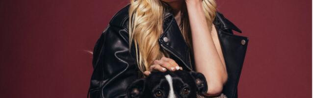 Luksuzni beauty brendovi za pse su stigli i niko nije iznenađen