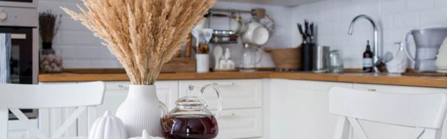 Tajna savršenog enterijera krije se u ovoj biljki: Izgleda luksuzno, traje godinama, a ne traži ni kap vode