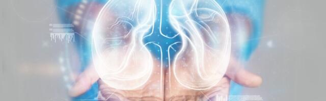 Vođa opasnog klana naterao čoveka da mu donira bubreg: Evo zbog čega nije imao drugog izbora do da pristane