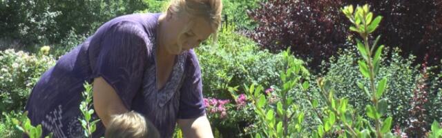 Ne morate više da zalivate baštu! Ovih 12 biljaka uspeva i u najtežim uslovima