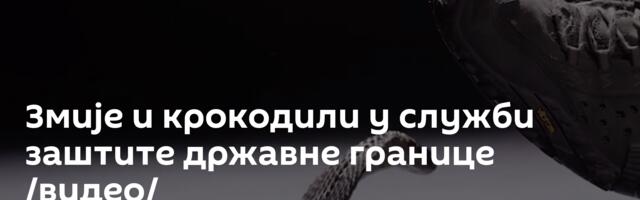 Змије и крокодили у служби заштите државне границе /видео/