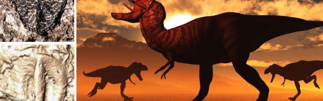 9.000 stepeni i talasi od 4 kilometra: Ovako je izgledao sudnji dan koji je zbrisao dinosauruse sa lica Zemlje