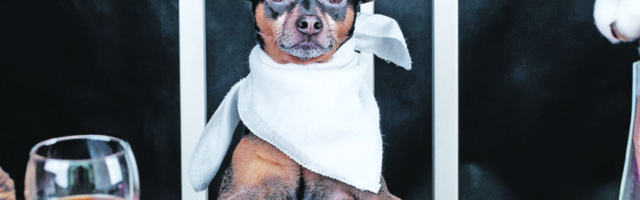 Namirnice koje mogu naškoditi zdravlju vaših kućnih ljubimaca