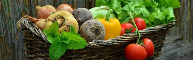 Specijalista higijene ishrane: Rešenje problema gojaznosti nije u instant dijetama