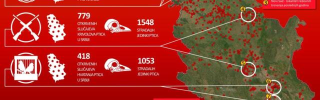 VIŠE OD 380 VRSTA PTICA KRASI SRBIJU! Ali neljudi ne cene tu lepotu: najveći problemi su trovanje, krivolov vatrenim oružjem i hvatanje ptica UZNEMIRUJUĆE FOTO