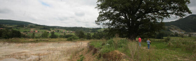 Uroš je umesto višnje zasadio ovu biljku i rizik mu se isplatio! Po jednom hektoru zaradio masne pare, samo ležu!