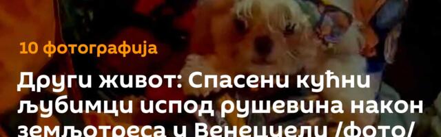 Други живот: Спасени кућни љубимци испод рушевина након земљотреса у Венецуели /фото/
