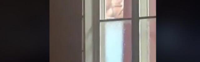 SKANDAL U BEČEJU! Blokiraju gimnaziju, dok gledaju pornografski sadržaj (VIDEO)