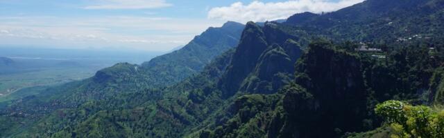 Naučnici otkrili minijaturno biće duboko u šumi: Nazvali ga po predsedniku jedne države, njegov izgled šokira