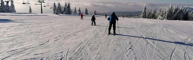 Novosadski Univerzitet spremio 40 miliona za zimovanje najboljih studenata na Kopaoniku