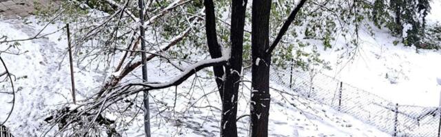 RHMZ upozorava! Očekuje nas i do 20 cm snega