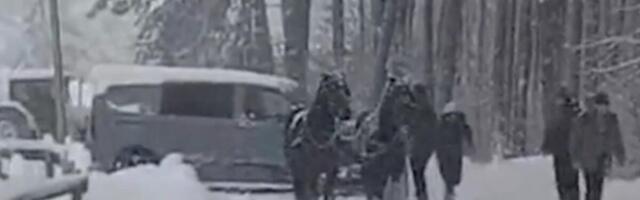 DŽABA AUTOMOBILI I MODERNI KOMBI, NIŠTA BEZ ZAPEGE SA KONJIMA: Samo su oni mogli da pomognu vozaču na Zlatiboru!
