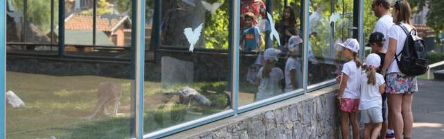 Na veliki petak radnike beogradskog zoološkog vrta dočekalo iznenađenje: Ovom prizoru se nisu nadali