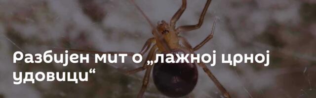 Разбијен мит о „лажној црној удовици“