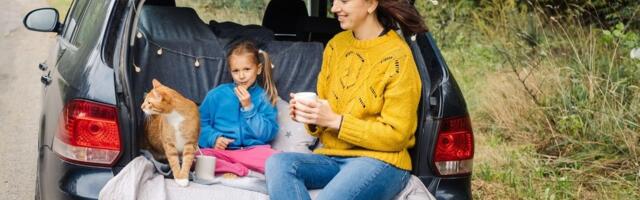 Šta nova pravila EU menjaju za vlasnike pasa i mačaka: Ako ih vodite na put čekaju vas novi propisi, kazne su velike