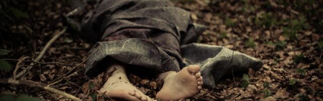 Užas kod Smederevske Palanke: Vatrogasac pronašao telo