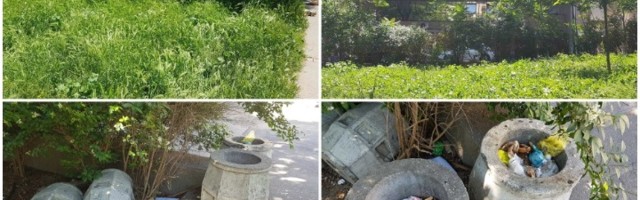 Štroka u centru grada! Sramota bogatih!