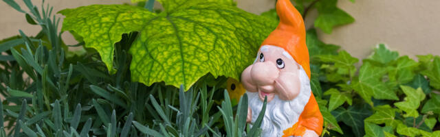 Sve što ste oduvek hteli da znate o minijaturnim baštama (i 7 zanimljivih ideja za stvaranje istih)