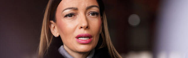 Месаровић: Свакодневно разговарамо с привредницима како држава да помогне