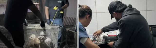 Horor u Brazilu: KLINIKA IZ PAKLA gomilala lekove isteklog roka, mršave životinje, kese sa fetusima
