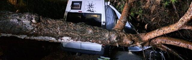 Drama u toku noći! Oluja napravila haos, drvo palo na kamper - vatrogasci morali da spasavaju zarobljene ljude (FOTO)