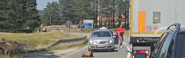 Kakvi su ovo blokaderi: Ni da mrdnu! (VIDEO)