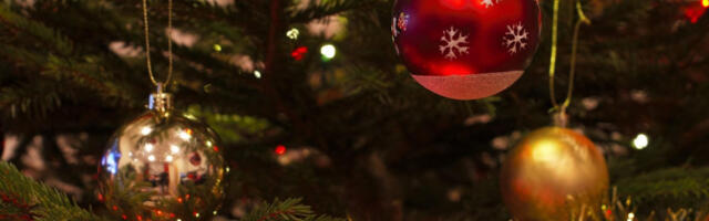 За новогодишње и божићне празнике скраћено радно време, 1. и 7. јануар нерадни дани